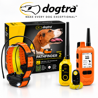 Dogtra