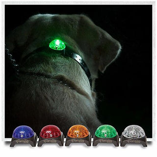 SPORTDOG LOCATOR BEACON