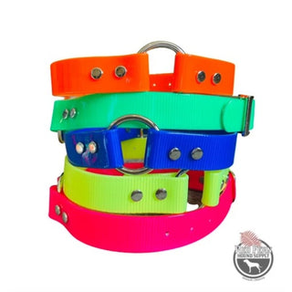 1" Wide RIC Day-Glo Collar with Nameplate