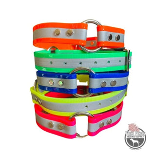 1" Wide Reflective Collar with Nameplate
