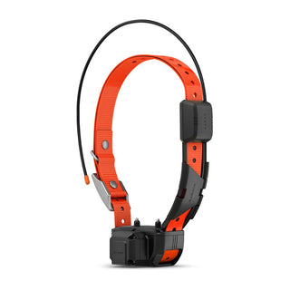 Alpha® TT 25 Dog Collar with Tracking Beeper
